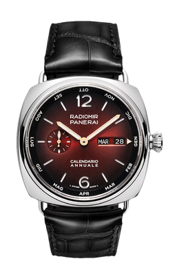 Panerai: Часы  Radiomir