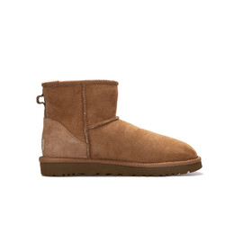 UGG: Ботинки  Classic Mini