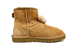 UGG: Ботинки  Classic Mini