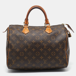 Louis Vuitton: Коричневая сумка  Speedy 30