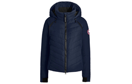 Canada Goose: Синий пуховик 