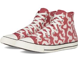 Converse: Кроссовки  Chuck Taylor All Star