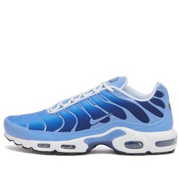 Nike: Синие кроссовки  Air Max Plus