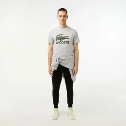 LACOSTE: Спортивные брюки 