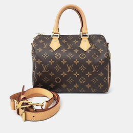 Louis Vuitton: Коричневая сумка  Speedy 25