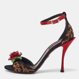 Dolce & Gabbana: Коричневые сандалии  Rose