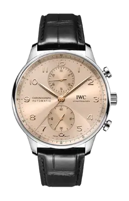 Iwc Schaffhausen: Часы  Portugieser