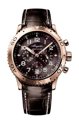 Breguet: Часы  Type XXI