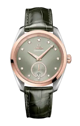 Omega: Часы  Aqua Terra