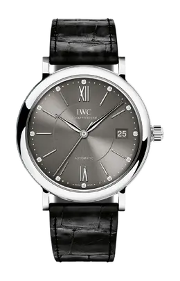 Iwc Schaffhausen: Часы  Portofino