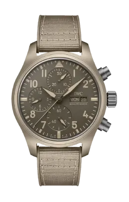 Iwc Schaffhausen: Часы 