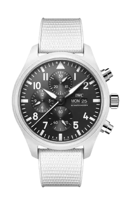 Iwc Schaffhausen: Часы 