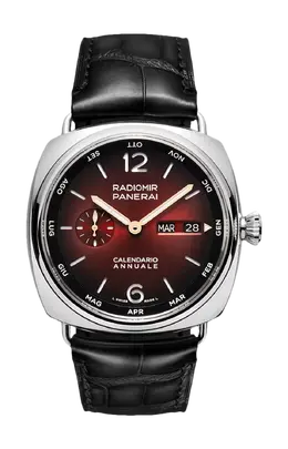 Panerai: Часы  Radiomir