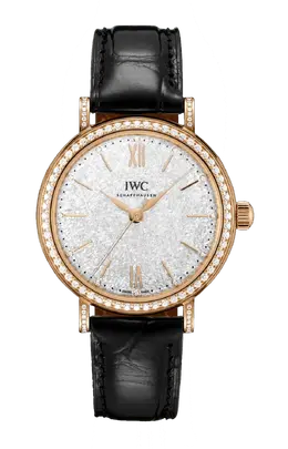 Iwc Schaffhausen: Часы  Portofino