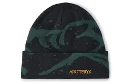 Arcteryx: Чёрная шапка 