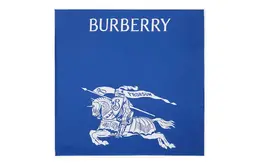 Burberry: Шарф с принтом 