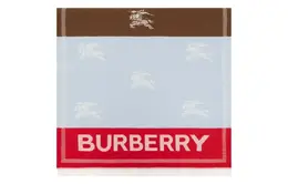 Burberry: Коричневый шарф 