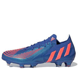 Adidas: Голубые кроссовки  Predator