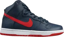 Nike: Синие кроссовки  Dunk High Pro SB