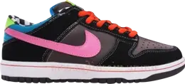 Nike: Многоцветные кроссовки  Dunk Low Pro SB