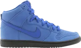 Nike: Синие кроссовки  Dunk High Pro SB