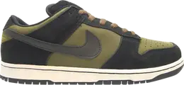 Nike: Зелёные кроссовки  Dunk Low Pro SB