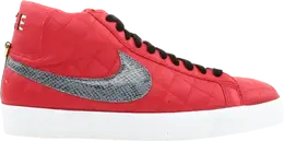 Nike: Красные кроссовки  Blazer SB