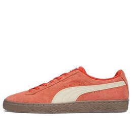 PUMA: Светлые кроссовки  Suede