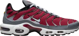 Nike: Красные кроссовки  Air Max Plus