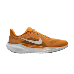Nike: Коричневые кроссовки  Air Zoom
