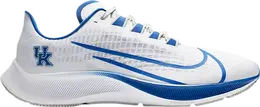Nike: Белые кроссовки  Air Zoom Pegasus 37