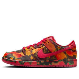 Nike: Красные кроссовки  SB Dunk Low