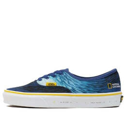 Vans: Синие кроссовки  Authentic