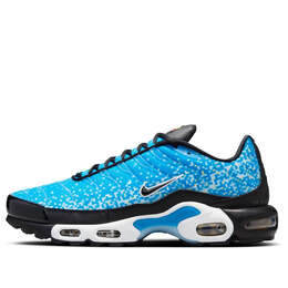 Nike: Голубые кроссовки  Air Max Plus