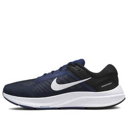 Nike: Синие кроссовки  Air Zoom