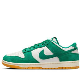 Nike: Многоцветные кроссовки  Dunk Low