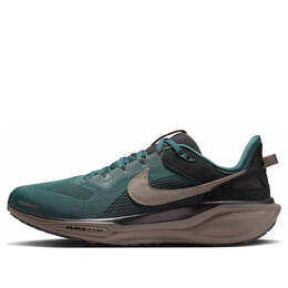 Nike: Многоцветные кроссовки  Air Zoom