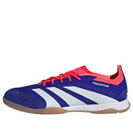 Adidas: Голубые кроссовки  Predator