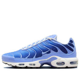 Nike: Синие кроссовки  Air Max Plus