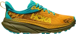 HOKA: Золотые кроссовки 