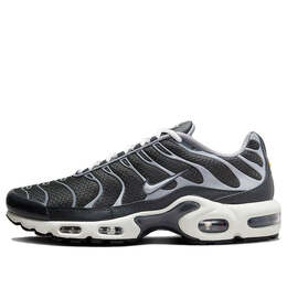 Nike: Серые кроссовки  Air Max Plus