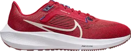 Nike: Красные кроссовки  Air Zoom