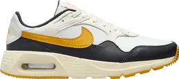 Nike: Чёрные кроссовки  Air Max SC