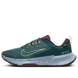 Nike: Многоцветные кроссовки  Trail