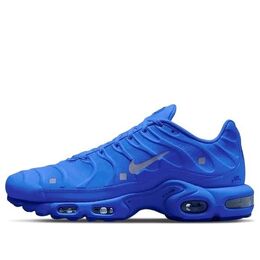 Nike: Голубые кроссовки  Air Max Plus