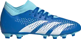 Adidas: Синие кроссовки  Predator
