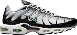Nike: Белые кроссовки  Air Max Plus
