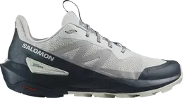 Salomon: Серые кроссовки 