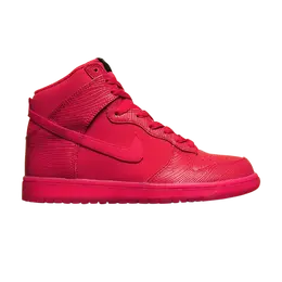 Nike: Красные кроссовки  Dunk High