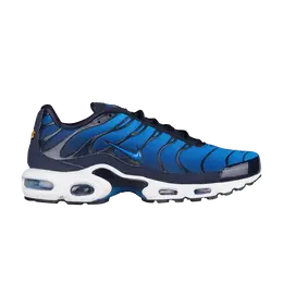 Nike: Синие кроссовки  Air Max Plus TN